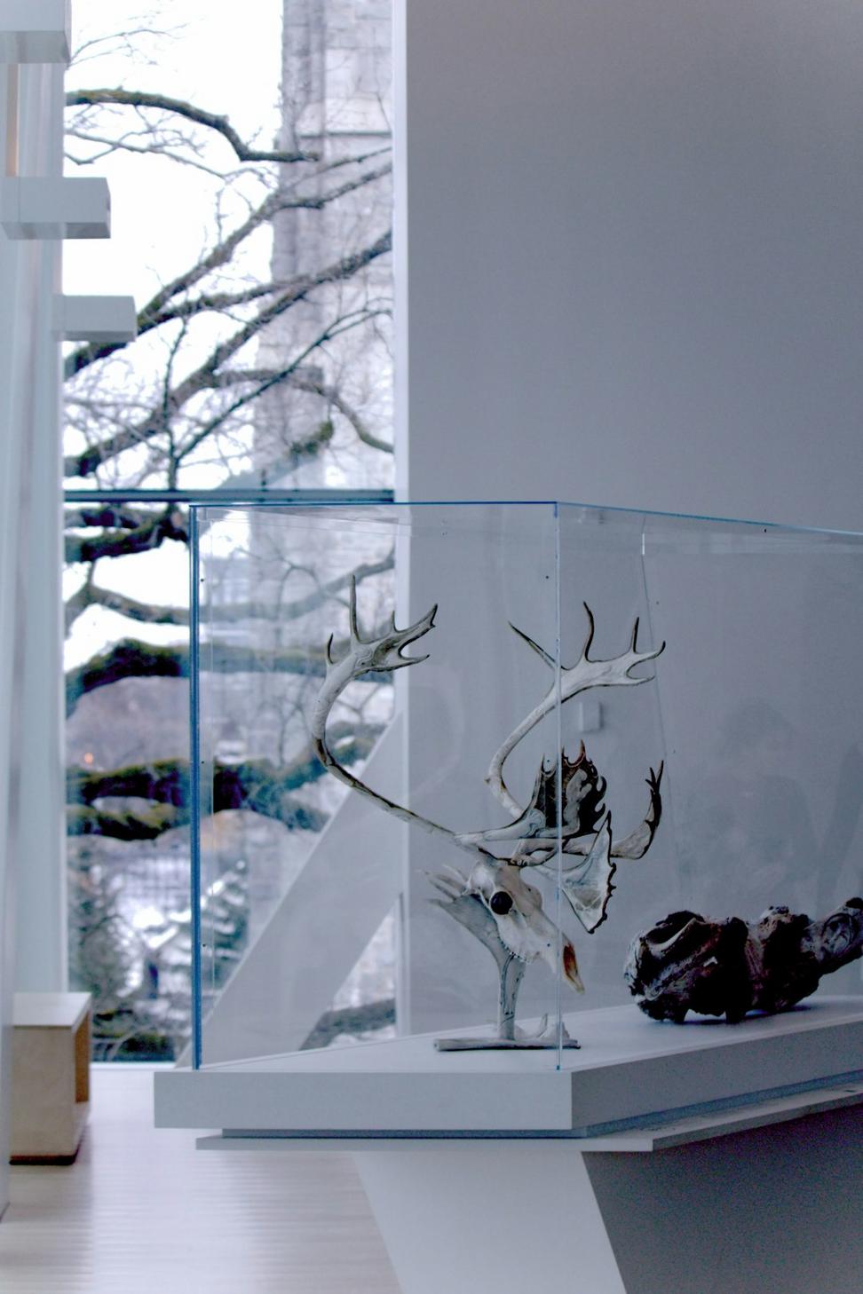 Nordic sustainable architecture